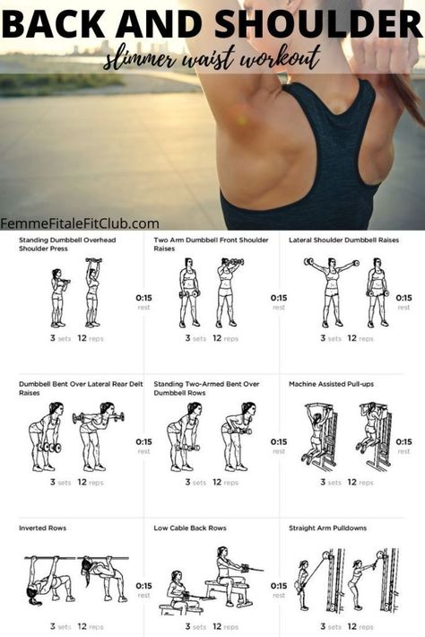 Get a snatched waist by toning up your shoulders and back with this workout. #slimmerwaistworkout #womenshealth #shoulderworkout #backworkout #health #fitness #fitfam Top Back Workouts, Womens Back And Shoulder Workout, Shoulder Back And Arms Workout, Back Shoulder And Bicep Workout, Cheat And Back Workout Gym, Gym Back And Shoulder Workout, Shoulder And Back Exercises For Women, Shoulder Workout With Weights, Back And Shoulder Hiit Workout