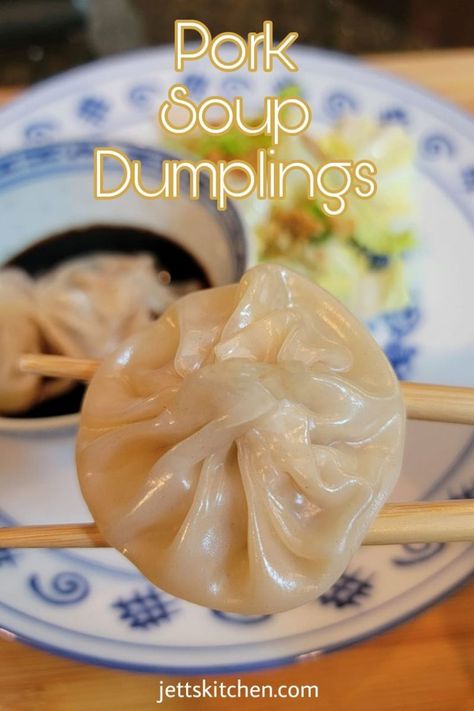 Essen, Pulled Pork Dumplings, Asian Soup Dumplings, Soup Dumplings Recipe Dim Sum, Korean Steamed Dumplings, Pork Dumplings Steamed, Best Pork Dumplings Recipe, Homemade Pork Wontons, Easy Steamed Dumplings