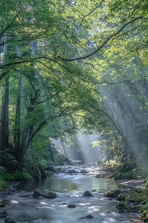 River Forest, Forest Lake, Biome, Beautiful Forest, Airbrush Art, Beautiful Locations Nature, Beautiful Scenery Nature, 가을 패션, Nature Aesthetic