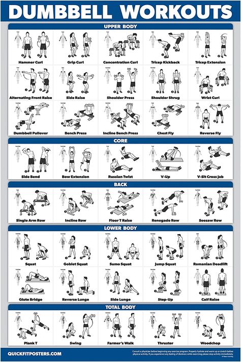 Dumbbell Workout Routine, Dumbbell Workout Plan, Exercise Poster, Free Weight Workout, Dumbbell Workout At Home, Fitness Studio Training, Dumbbell Workouts, Full Body Dumbbell Workout, Workout Hiit