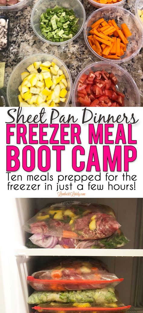 Sheet Pan Dinners Freezer Meal Boot Camp - Lamberts Lately Healthy Freezer Meals, Recipes For Chicken, Budget Freezer Meals, Pan Chicken Fajitas, Sheet Pan Suppers, Sheet Pan Dinners Recipes, Freezer Meal Prep, One Pan Dinner, Recipe Sheets