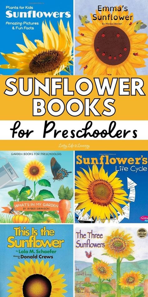 Sunflower Books for Preschoolers Gardening With Kids, Fun Preschool Crafts, Reading Preschool, Sunflower Life Cycle, Books For Preschoolers, September Themes, Planting For Kids, Sunflower Crafts, Nature Story