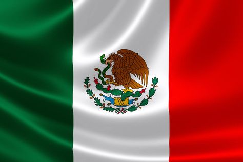 Fun Facts About Mexico, Mexico For Kids, All Verbs, Mexico Wallpaper, Mexican Artwork, Spanish Basics, Spanish Verbs, Brazil Flag, Mexican Flags