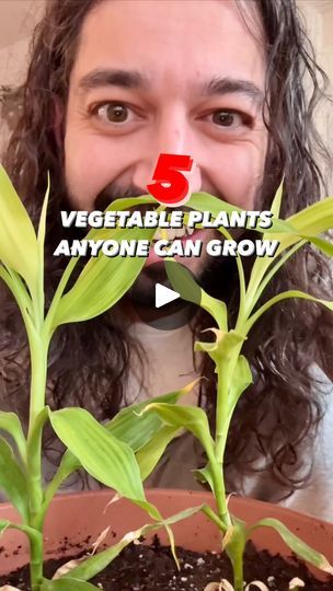 Permaculture, Grow Onions, David Arnold, Creative Explained, Vegetable Plants, Growing Veggies, Gardening Hacks, Plant Health, Garden Containers