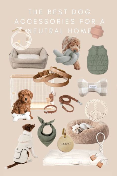 the best dog accessories for a neutral home Amazon Puppy Essentials, Toy Dog Accessories, Dog Toys For Small Dogs, Dog Aesthetic Accessories, Cute Dog Essentials, Dog Neccesities, New Puppy Essentials, Cute Dog Accessories Dog Supplies, Boho Dog Accessories