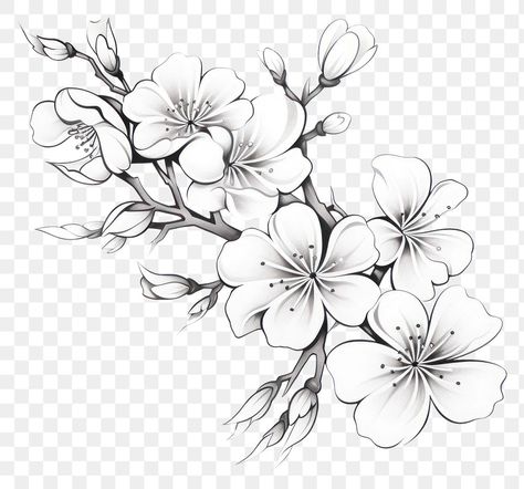 Sakura Flower Tattoo Black, Sakura Japanese Tattoo, Cherry Blossom Tattoo Stencil, Sakura Flower Drawing, Flower Drawing Sketch, Cherry Blossom Outline, Cherry Blossom Logo, Tattoo Cherry Blossom, Blossom Logo