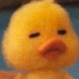 a lil ducky pouting Duck Memes, Duck Pictures, Duck Cartoon, Cute Ducklings, Cute Funny Pics, Funny Duck, Little Duck, Face Reveal, Cartoon Profile Pics