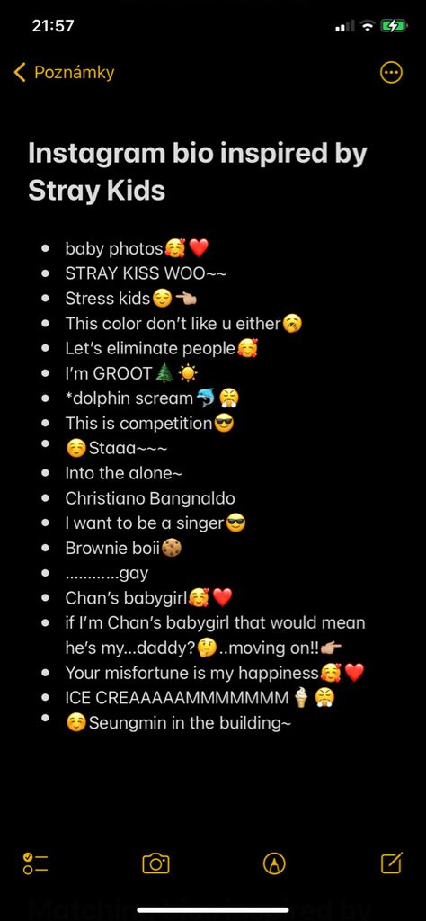 instagram bio ideas inspired by k-pop group called Stray Kids Subtle Kpop Captions For Instagram, Skz Related Usernames, K Pop Instagram Captions, Skz Instagram Captions, Goofy Bio For Instagram, K Pop Bio Ideas, Insta Kpop Bio Ideas, Skz Caption Ideas, K Pop Username Ideas Skz