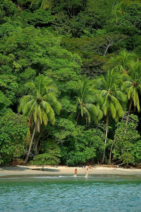 Manual Antonio National Park, Costa Rica.  Where the jungle meets the ocean.  I want to be there again! Quepos, Quepos Costa Rica, Beach Jungle, Jungle Beach, Manuel Antonio Costa Rica, Manuel Antonio National Park, Costa Rica Beaches, Costa Rica Vacation, Budget Vacation