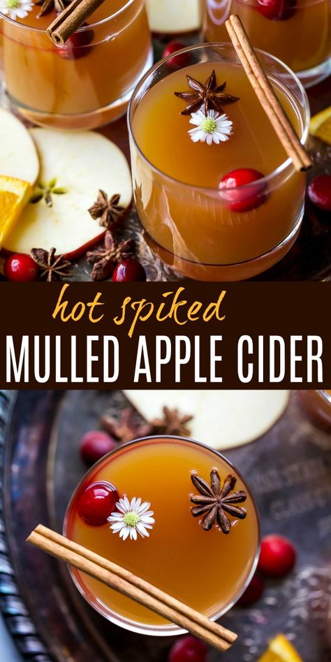 Easy Hot Spiked Mulled Apple Cider Recipe | Holiday Cocktail | Crock Pot Mulled Wine Apple Cider, Hot Apple Cider Recipe Alcohol, Crock Pot Hot Cider, Apple Cider Mulled Wine, Crock Pot Fall Drinks, Holiday Hot Toddy, Crock Pot Cider Spiked, Hot Toddy Recipe Apple Cider, Spiked Hot Apple Cider Recipe Crock Pot