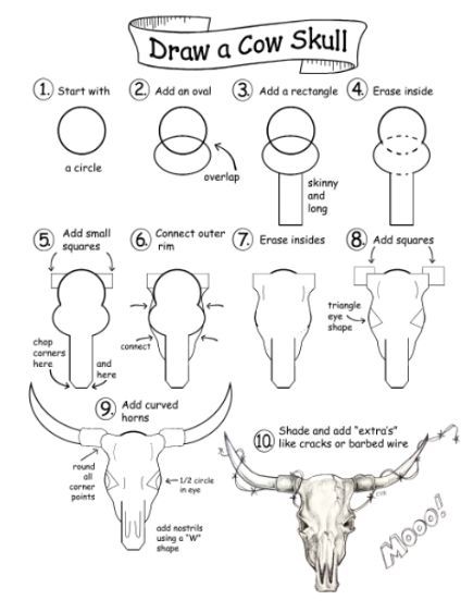 How To Draw A Cow Skull Step By Step, How To Draw Cow Skull, How To Draw A Bull Skull, Cow Step By Step Drawing, Desert Skull Drawing, Cow Horns Drawing, How To Draw A Cow Skull, Cow Skull Art Drawing, How To Draw Western Things