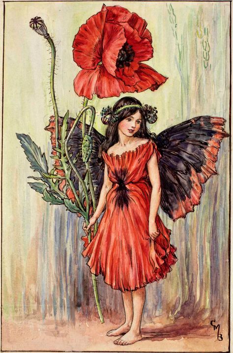 The Poppy Fairy by Cicely Mary Barker Art And Illustration, Poppy Fairy, Hur Man Målar, Fairy Illustration, Cicely Mary Barker, Vintage Fairies, Art Et Illustration, Flower Fairies, Fairy Angel