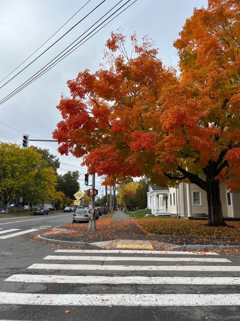 Nature, Hobart And William Smith Colleges, Smith College Aesthetic, College Core, Fall Szn, Autumn 23, Smith College, Western Massachusetts, College Aesthetic