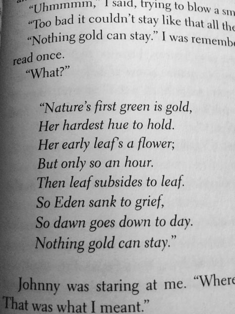 The outsiders•Roberts frost poem nothing gold can stay The Outsiders Poem, Natures First Green Is Gold Poem, Robert Frost Nothing Gold Can Stay, Poems From Movies, Quotes From The Outsiders Book, The Outsiders Scrapbook, The Outsiders Widgets, Soc Aesthetic The Outsiders, Nothing Gold Can Stay Tattoo