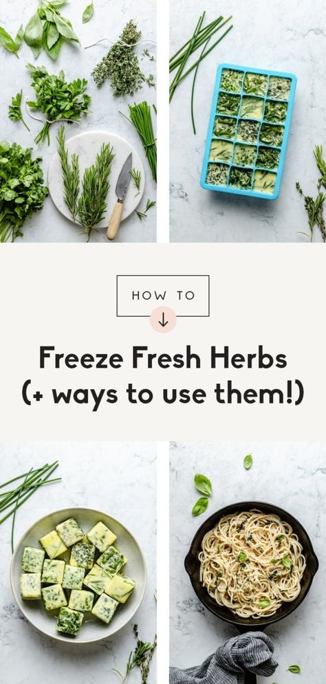 How To Freeze Herbs, Freezing Food Guide, Freeze Herbs, Ice Cube Tray Recipes, Ice Cube Recipe, Freezing Fresh Herbs, Fresh Herb Recipes, Freezing Herbs, Preserving Herbs