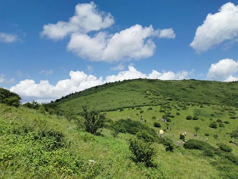 Mountain climbing with my friends at last weekend. We saw the beautiful scenery on the top of mountain. Scenery Mountain, Top Of Mountain, Alpine Meadow, With My Friends, Mountain Climbing, Summer Heat, Beautiful Scenery, At Last, Something Beautiful