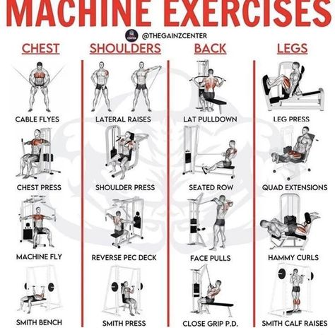 Machine Exercise Check out link in bio . . . . Credit 👉 @thegainzcenter ©All rights reserved by respective… | Instagram Back Workout Machine, Circuit Workout Gym, Weight Machine Workout, Weekly Gym Workouts, Starter Workout, Beginners Gym Workout Plan, Gym Workouts Machines, Core Workout Gym, Workout Gym Routine
