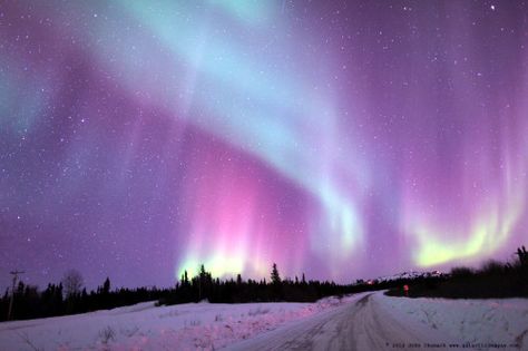 Aurora Borealis 03-21-2014 Canon 5D, Mark II, ISO 800 to 3200, 24mm F1.4 Lens, 5 sec to 15 second exposures. Northern Lights Wallpaper, Alaska Northern Lights, Aurora Sky, Purple Aesthetic Background, All The Bright Places, Scenic Pictures, Aurora Borealis Northern Lights, Lit Wallpaper, Purple Sky