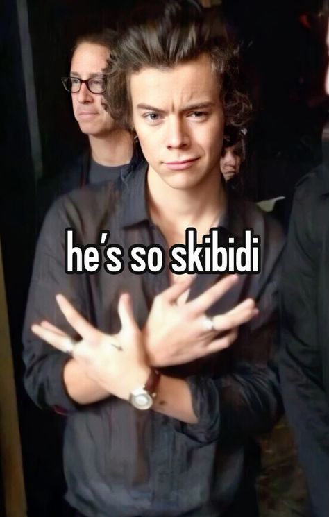 #skibidi #brainrot #harry #harrystylesaesthetic #styles #funny #humor #relatable #directioner #onedirectionbackground #whisper One Direction Quotes, Things You Need, Harry Styles Icon, One Direction Background, One Direction Outfit, One Direction Fanart, Harry Styles Funny, Harry Styles Aesthetic, One Direction Humor