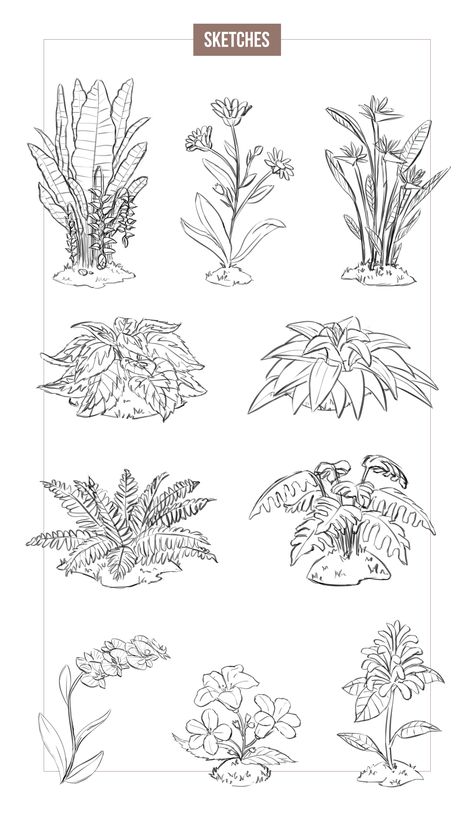 NFT Project - Plants Assets on Behance Croquis, Architecture Plants Sketch, Imaginary Plants Drawing, Plants Reference Drawing, Plants Architecture Drawing, Shrubs Drawing, Vegetation Drawing, Plants Line Drawing, Line Plant Drawing