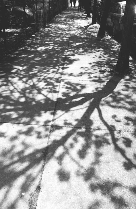 dappled pavements City Shadow, Shadow Tree, Light And Shadow Photography, Tree Shadow, Shadow Shadow, Shadow Silhouette, Shadow Photography, Dappled Light, Shadow Photos