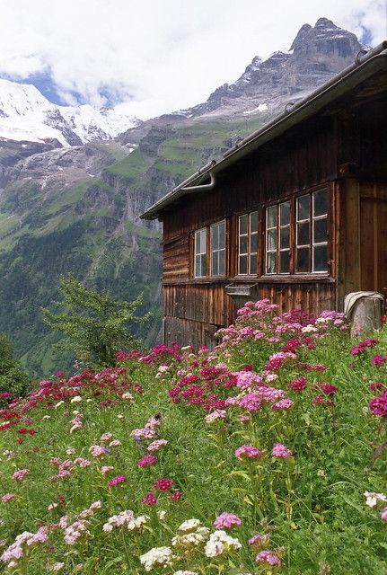 House In The Mountains, Mountain Aesthetic, Mountains Aesthetic, Wooden Cabin, Cabin In The Mountains, Mountain Living, Voyage Europe, Mountain Life, Cabins And Cottages