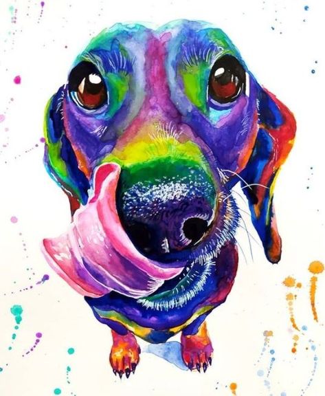 Painting Ideas 2023, Colorful Dog Paintings, Arte Dachshund, Dachshund Painting, Painting Pop Art, Dog Pop Art, Pop Art Animals, Acrylic Painting Ideas, No Copyright Music