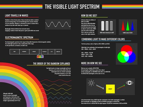 Visible Light Spectrum Poster by Brittany Heyen Light Poster Design, Physics Poster, Visible Light Spectrum, Biology Projects, Light Science, Light Spectrum, Visible Spectrum, Electromagnetic Spectrum, Speed Of Light