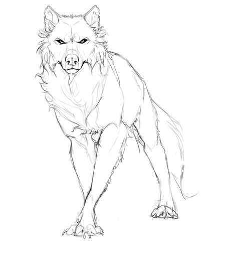 Wolf Tattoos, Drawing Wolf, Wolf Poses, Wolf Sketch, Wolf Tattoo Design, Werewolf Art, Canine Art, Wolf Drawing, Wolf Art