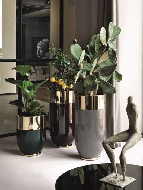 High round plant pot GODWIN CACHEPOT by Longhi Tanaman Indoor, Plant Pot Design, House Plant Pots, Bar Coffee, Plant Decor Indoor, Interior Plants, High Table, House Plants Decor, Pot Designs