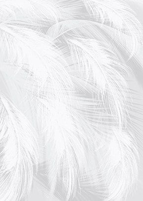 White Feather Background, Feather Invitation, Peacock Feather Wedding, Burung Beo, Fur Background, Feather Background, Dance Background, Wallpaper Putih, Feather Bird