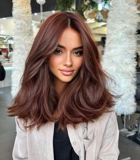 Dark Fall Hair, Chestnut Hair, Kadeřnické Trendy, Chestnut Hair Color, Brown Hair Looks, Brown Hair Inspo, Vlasové Trendy, Ginger Hair Color, Red Brown Hair