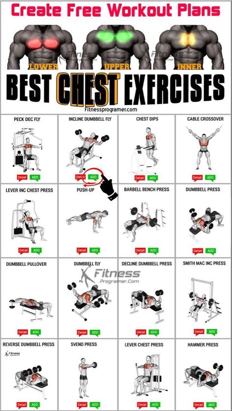 Chest And Bicep Workout, Chest And Tricep Workout, Chest And Back Workout, Chest Workout For Men, Chest Workout At Home, Workout Gym Routine, Chest Workout Routine, Gym Workout Guide, Latihan Dada