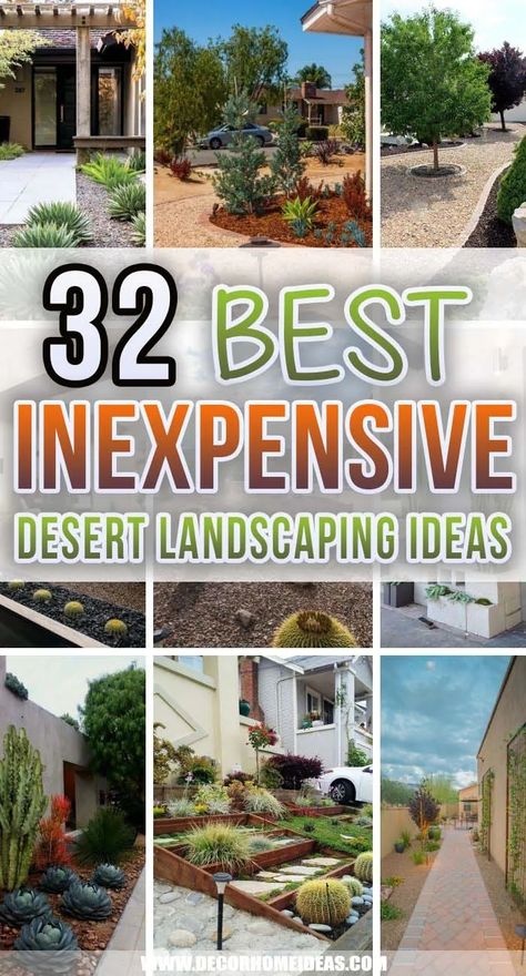 32 Inexpensive Desert Landscaping Ideas For a Perfect Drought-Tolerant Garden | Decor Home Ideas Best Plants For Desert Landscaping, Cacti Front Yard Landscaping, Small Front Yard Landscaping Ideas Arizona, Desert Planter Boxes, High Desert Landscape Design, Backyard Landscaping With Pavers And Rocks, Desert Hardscape Ideas, Small Desert Patio Ideas, Xeriscape Front Yard New Mexico