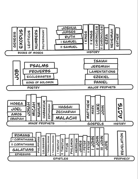 Order Of Bible Reading, Bible Shelf Ideas, Bible Reading Template, Bible Genres Chart, Bible Reading Plan Aesthetic, Jw Bible Reading Journal, Bible Book Reading Tracker, Read The Bible In A Year Plan 2024, Bible Notes Printable