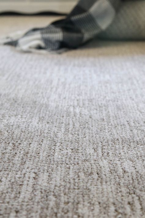 Best Carpet For Upstairs, Carpet For Guest Bedroom, Wool Bedroom Carpet, Trendy Carpet Living Rooms, Medium Pile Carpet, Bedrooms With Carpet And Rug, Dark Carpet Light Walls, Pretty Carpet Bedroom, Modern House Carpet
