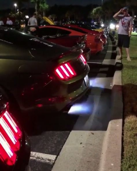 MUSTANG PASSION! on Instagram: “ThoughtsOn This Exhaust🔥● FollowUs👉@mustangvideoz For More! ● OWNER👉@justang_5.0 📷: @supermariobruh ● ● ● ● ● #mustang #gt350 #gt350r #2016…” Mustang 5.0 Gt, Mustang Gt350, Mickey And Ian, S550 Mustang, Car Wallpaper, Car Videos, Mustang Gt, Dream Car, Car Wallpapers