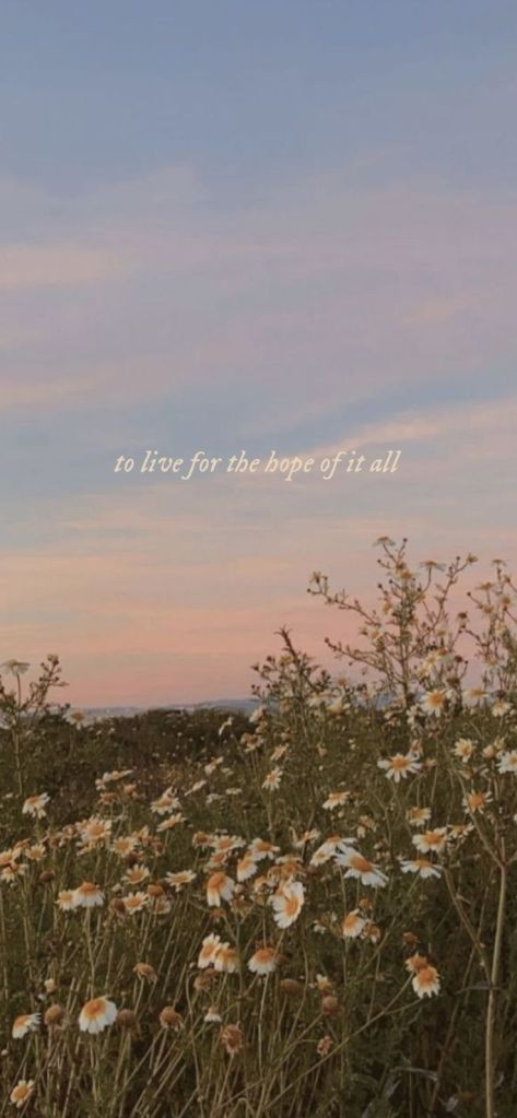 Taylor Swift Aesthetic Wallpaper Iphone, Sunset Lyrics, Bluey Wallpapers, Taylor Swift Lyric Wallpaper, August Lyrics, Flower Lyrics, August Wallpaper, Asthetic Wallpaper, Simplistic Wallpaper