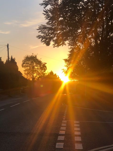 Saw the light from the sunrise peer through the trees on my street during my morning walk. It really started off my day perfectly :’) Nature, Morning City Aesthetic, February Energy, Morning Walks Aesthetic, Morning Sunrise Aesthetic, City Morning, Sunrise Walk, Morning Vibe, 2024 Manifestation