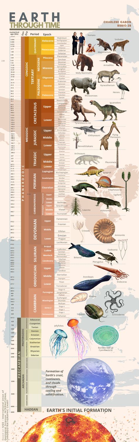 Geographic time scale of the earth based on IUGS with organisms in their corresponding periods History Of Life On Earth Timeline, History Of Earth Infographic, Geologic Time Scale Timeline Project, Geologic Time Scale Drawing, Geological Time Scale Timeline, Geology Infographic, Geologic Timescale, Evolution Infographic, Earth Timeline