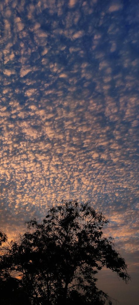 Incredible Sky Pictures, Moring Aesthetic Pictures, Bonito, Nature Pictures Dp, Wallpaper Peaceful Aesthetic, Night Sky Background Aesthetic, Beautiful Sky Pics, Cloud Pics Sky, Real Aesthetic Pictures