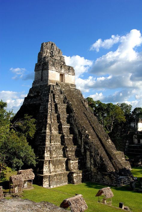 Templo V, Tikal (Guatemala) Ancient Ruins, Tikal, Ancient Architecture, Tikal Guatemala, Architecture Antique, Mayan Cities, Mayan Ruins, Beautiful Places In The World, Ancient Cities