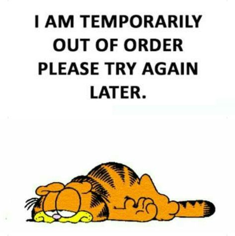 I am temporarily out of order. Please try again later. Humour, Garfield Quotes, Garfield Cartoon, Garfield Cat, Garfield And Odie, Out Of Order, Funny Cartoon Quotes, Good Morning Inspirational Quotes, Cartoon Quotes