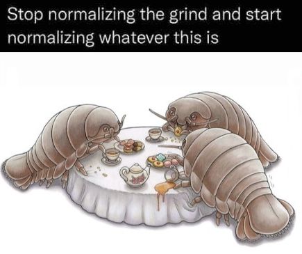 How does it feel to be living my dream Giant Isopod, Tea And Biscuits, Circle Small, Cool Bugs, The Grind, Silly Images, Animal Species, Silly Me, Internet Funny