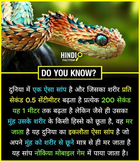 Space Facts In Hindi 2024, Mysterious Facts Hindi, Space Facts In Hindi, Amazing Facts About Space, Animals Facts, Daily Fun Facts, Youtube Facts, Epic Facts, Mysterious Events