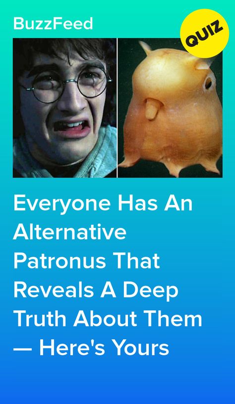 My Patronus Is, What Is Your Patronus Quiz, Harry Potter Sorting Hat Quiz, Patronus Quiz, Sorting Hat Quiz, Patronus Harry Potter, Hogwarts Sorting Quiz, Hp Quiz, Buzzfeed Test