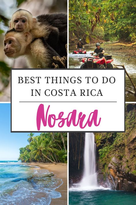Discover the ultimate guide to the best things to do in Nosara, Costa Rica from pristine beaches to thrilling outdoor adventures, and more. Tamarindo, Costa Rica, Nosara, San Jose, Nosara Costa Rica Things To Do, Costa Rica Nosara, Costa Rica Liberia, Costa Rica Yoga, Nosara Costa Rica