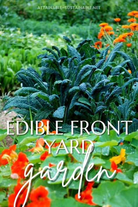 pretty planting with orange nasturtiums, lacinato kale, and calendula Front Yard Farming, Urban Edible Garden, Nature, Front Lawn Garden Vegetable, Urban Front Yard Vegetable Garden, Food Scaping Front Yard, Edible Front Yard Garden, Front Yard Edible Garden Design, Landscaping With Vegetables