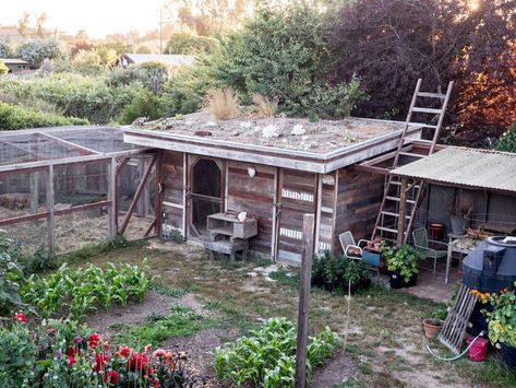 Handmade/Homemade: The Half-Acre Homestead | The Shelter Blog Permaculture, Homestead On An Acre, Half Acre Homestead, Half Acre Homestead Layout, Half Acre Backyard Ideas, 1 Acre Homestead Layout, Backyard Permaculture, Outdoor Workspace, Homestead Layout