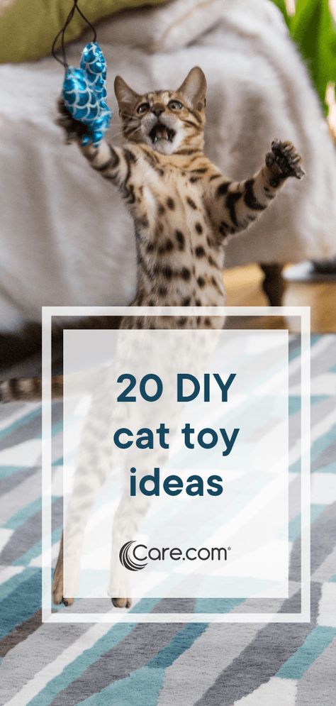 Diy Cat Toys Kittens, Diy Jouet Pour Chat, Diy Cat Toys Easy, Katt Diy, Cat Diy Crafts, Chat Diy, Handmade Cat Toys, Homemade Cat Toys, Diy Pet Toys